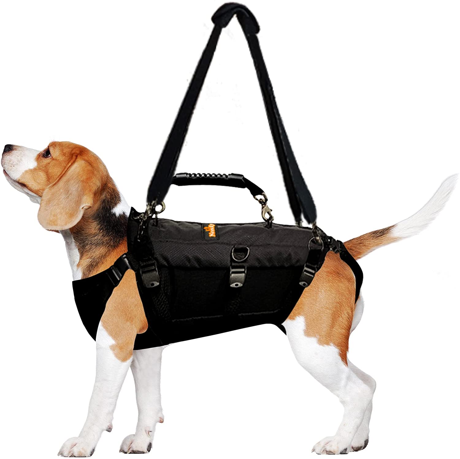 Amazon One Size Fits All Dog Harness Top Paw® Neoprene Comfort Dog
