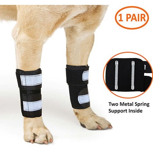 NeoAlly Dog Front Leg Brace with Reflective Straps - Metal Spring