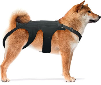 The Top Dog Back Brace with Added Support Inserts - Neoallypets