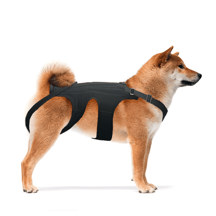NeoAlly Dog Back Brace for Dogs with Inserts for Extra Support - Neoallypets