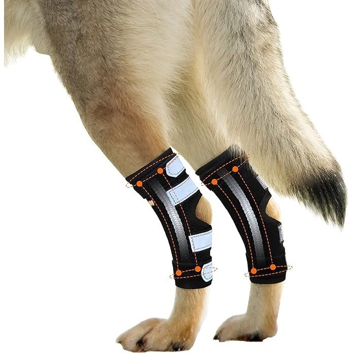 Dog Rear Leg Braces - Neoallypets