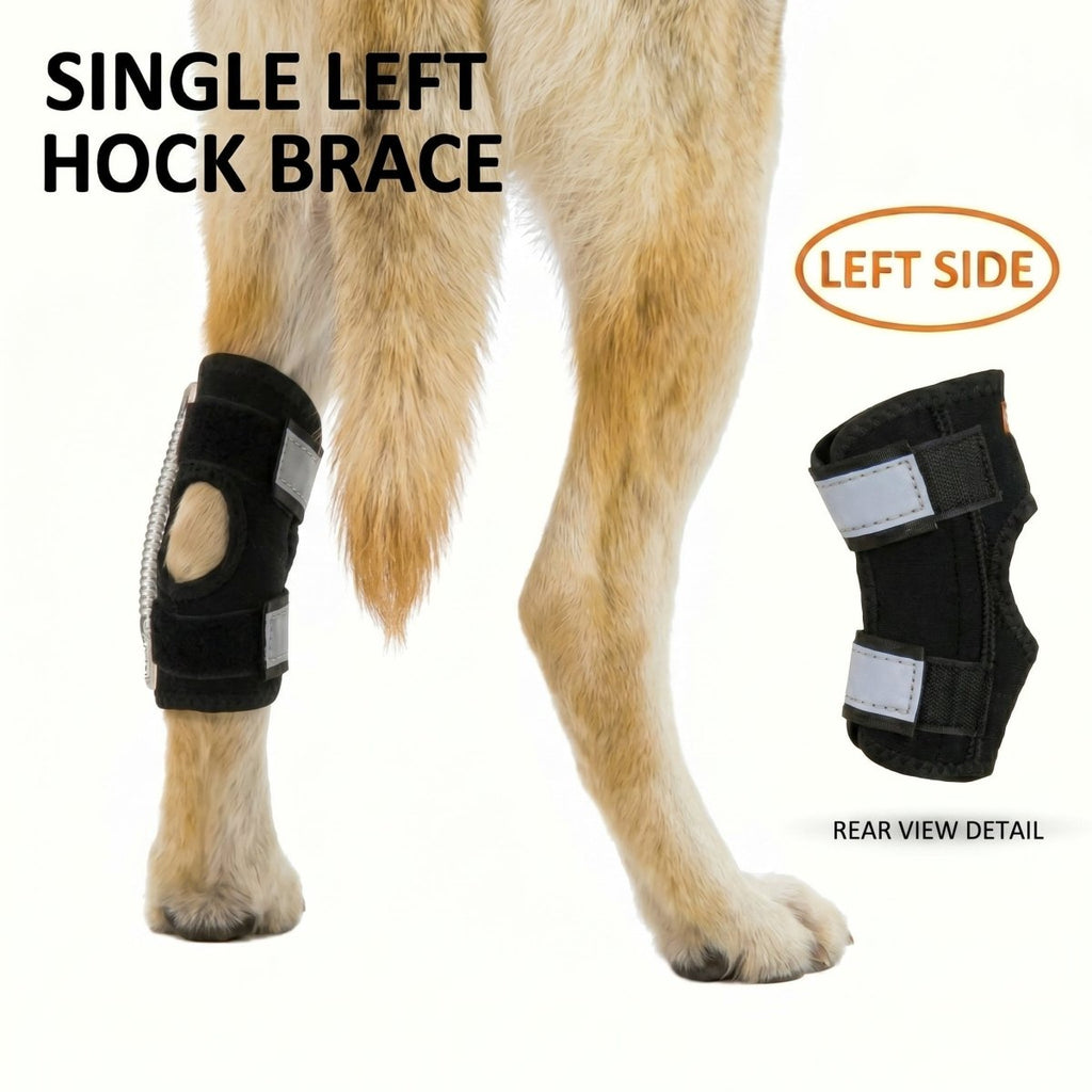 Dog Rear Leg Braces - Neoallypets