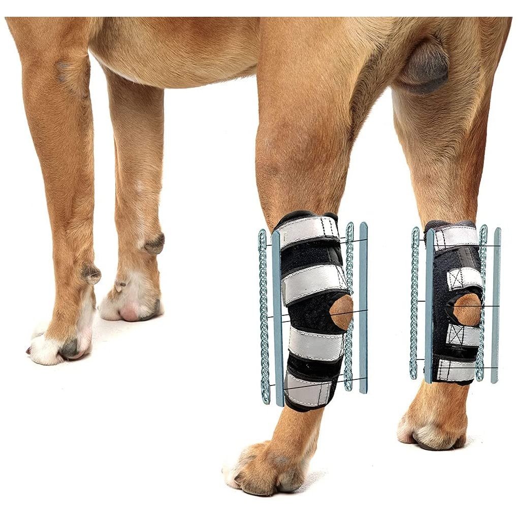 3-in-1-Dog-Splint-Braces-LONG