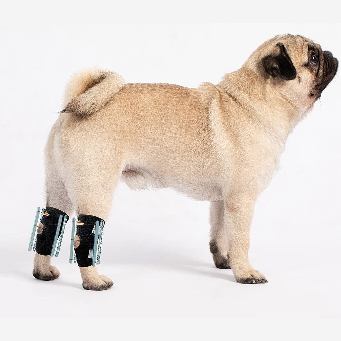 NeoAlly 3-in-1 Short Rear Leg Hock Brace for Smaller Dogs with