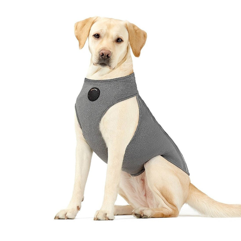 dog-anxiety-calming-vest