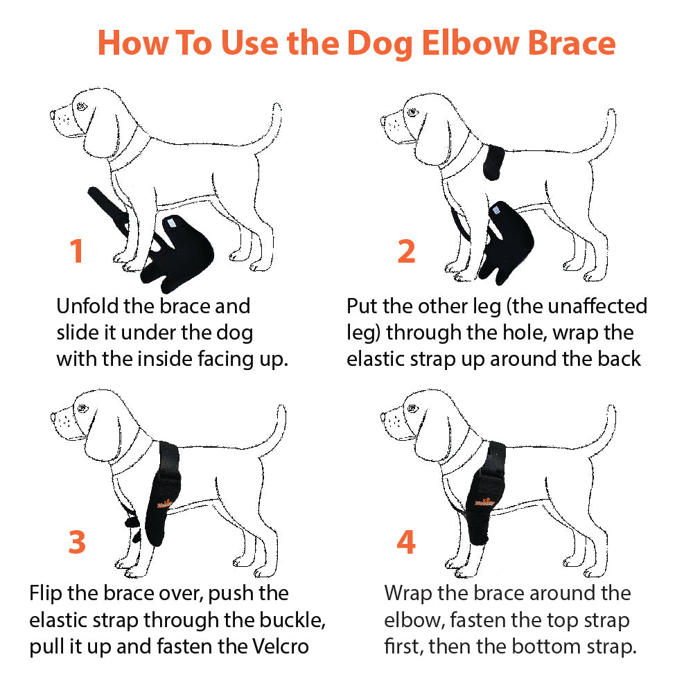 how-to-use-dog-elbow-brace