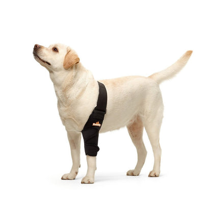 Dog Elbow Brace